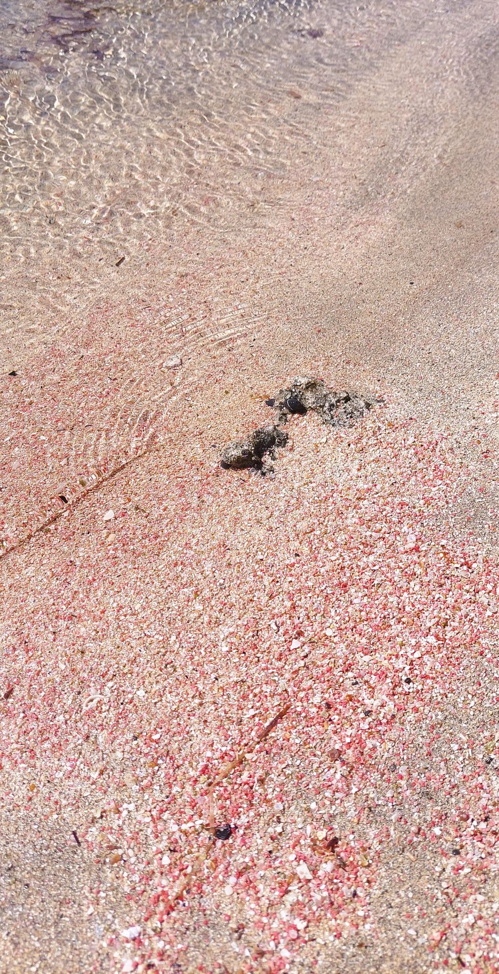 Photo par Julie&Martin Elafonissi